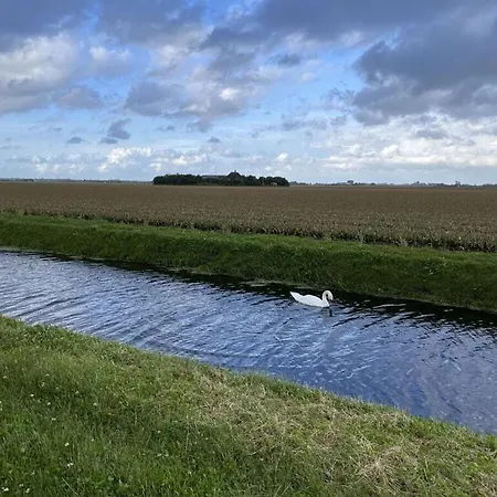 Windrose Comfortable * De Zandloper