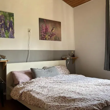 Hotel Windrose Comfortable *